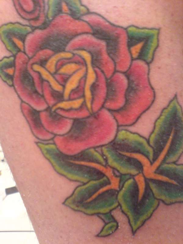 rose tattoo