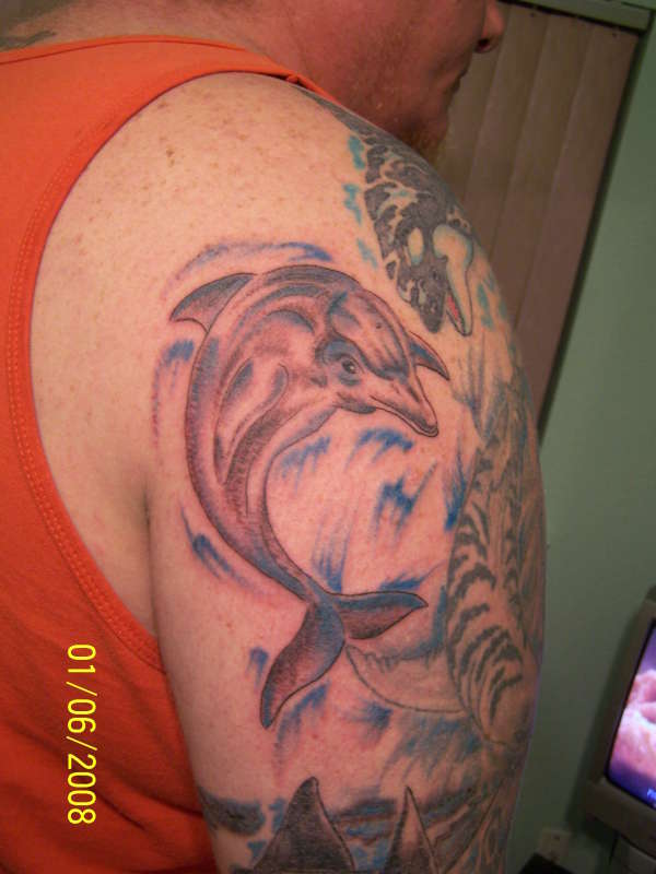 Dolphin tattoo