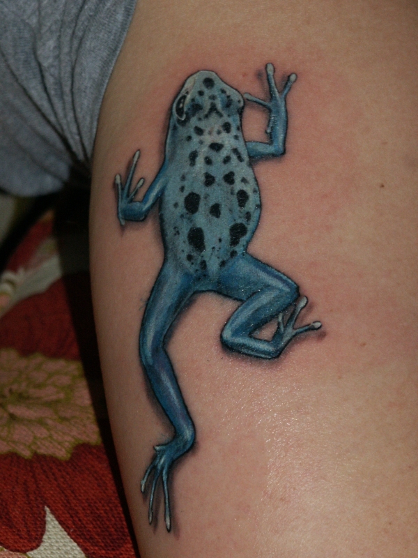 poison dart frog tattoo