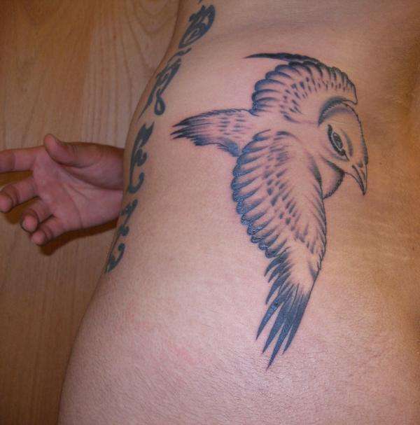 Homing Pigeon tattoo