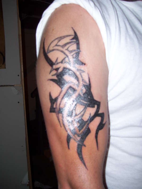 this is my tribal with a dragon on my right arm! tattoo