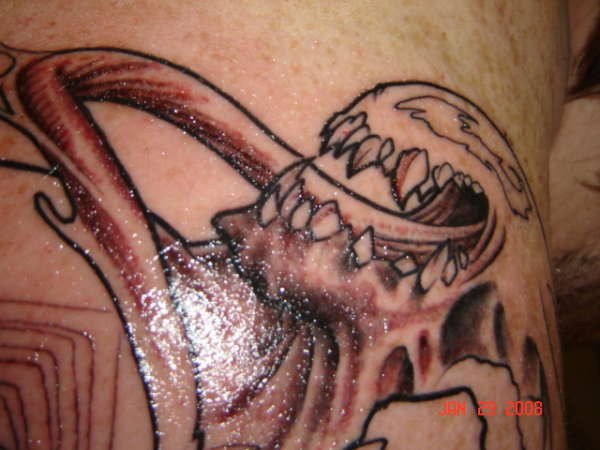 close up of my new tattoo tattoo
