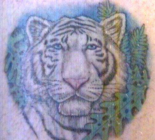 Tiger tattoo