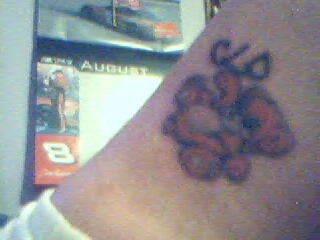 Clo Bear =) tattoo