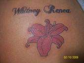 Trans Tatto tattoo