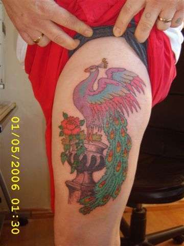 peacock tattoo