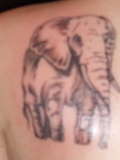 Elephant tattoo