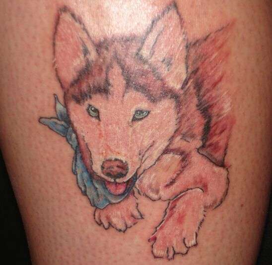 dog portrait tattoo