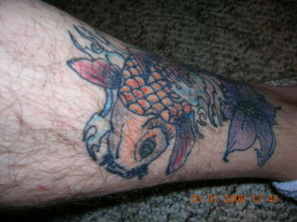 Koi tattoo