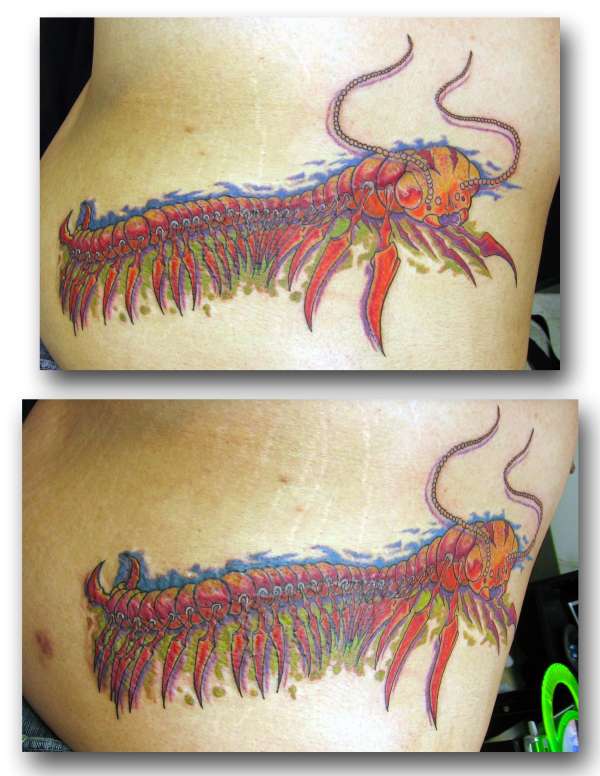 Check Out The Colors! tattoo
