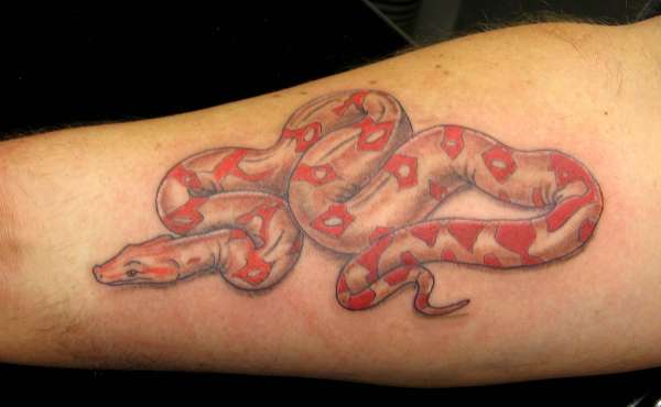 Snakes tattoo