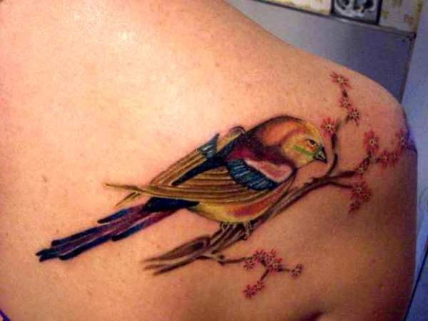 Induna tattoo