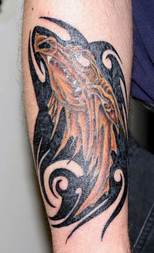 My newest Dragon tattoo