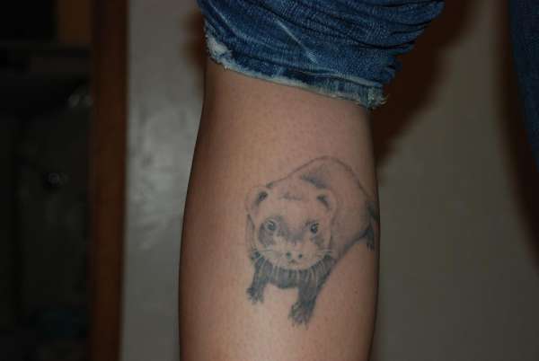 Ferret tattoo