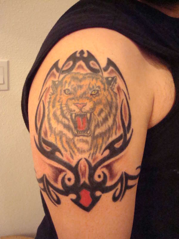 tiger with tribal tattoo