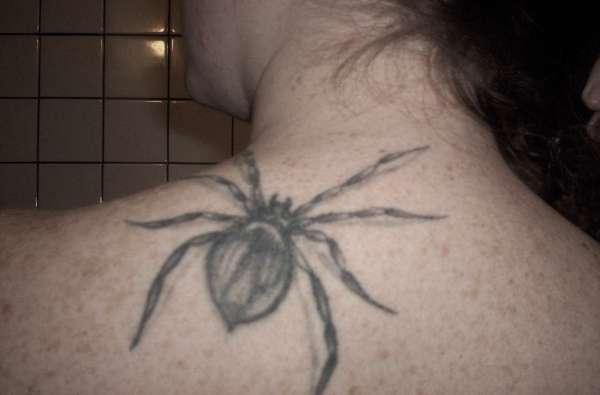 spider tattoo