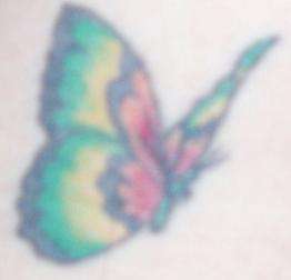 Butterfly tattoo