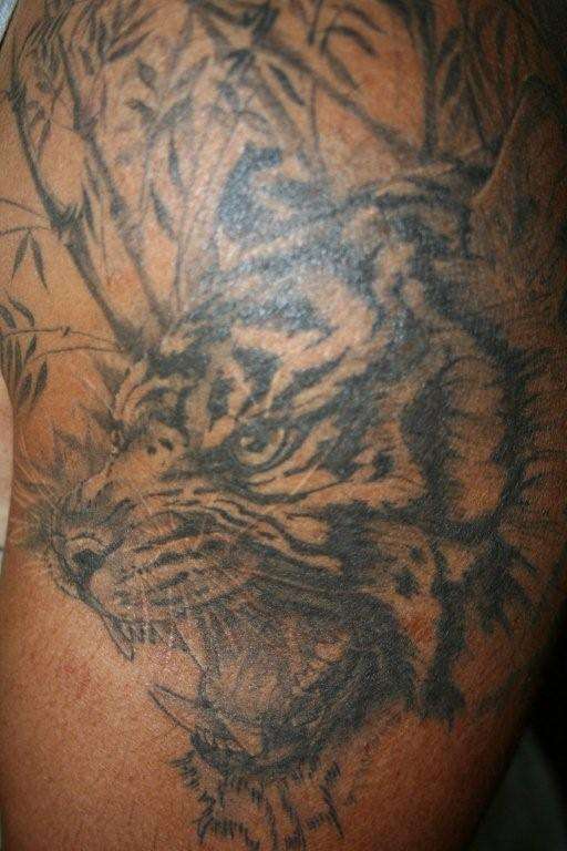 Tiger 2 tattoo