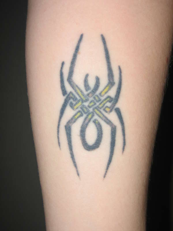 Spider tattoo