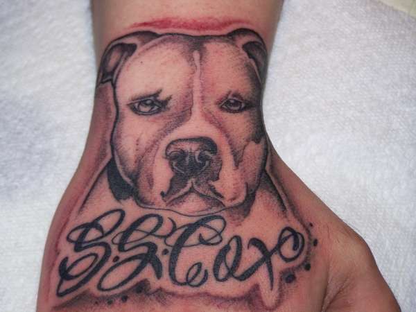 Pitbull 2 tattoo