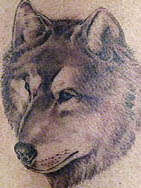 Wolf 02 tattoo