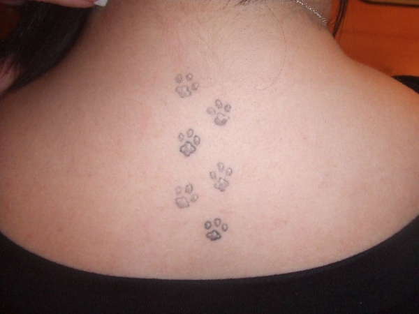 My pawprints tattoo tattoo