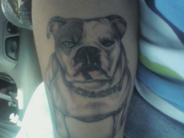 my bulldog tattoo