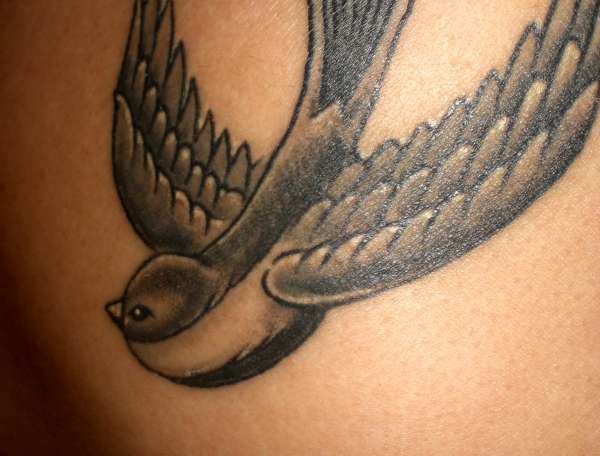 Swallow tattoo