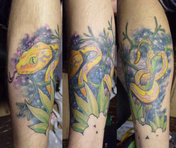 Tree Python & Outer Space tattoo
