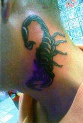 cover up of smaller scorpian tattoo