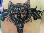 wolf tattoo