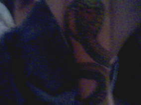 snake tattoo