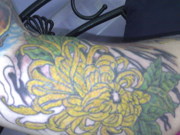 chrysanthemum 1st sitting tattoo