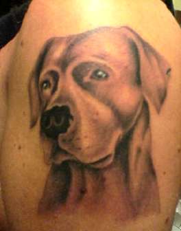 My first Dogo Argentino pup only 1 year at pic! R.I.P Angel!! tattoo