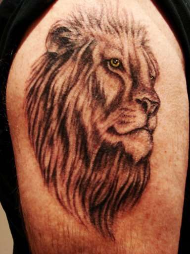 Lion Portrait tattoo