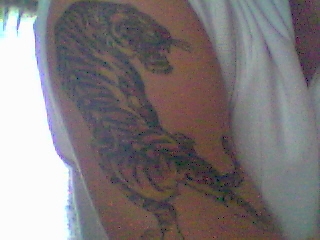 My Tiger!!!! tattoo