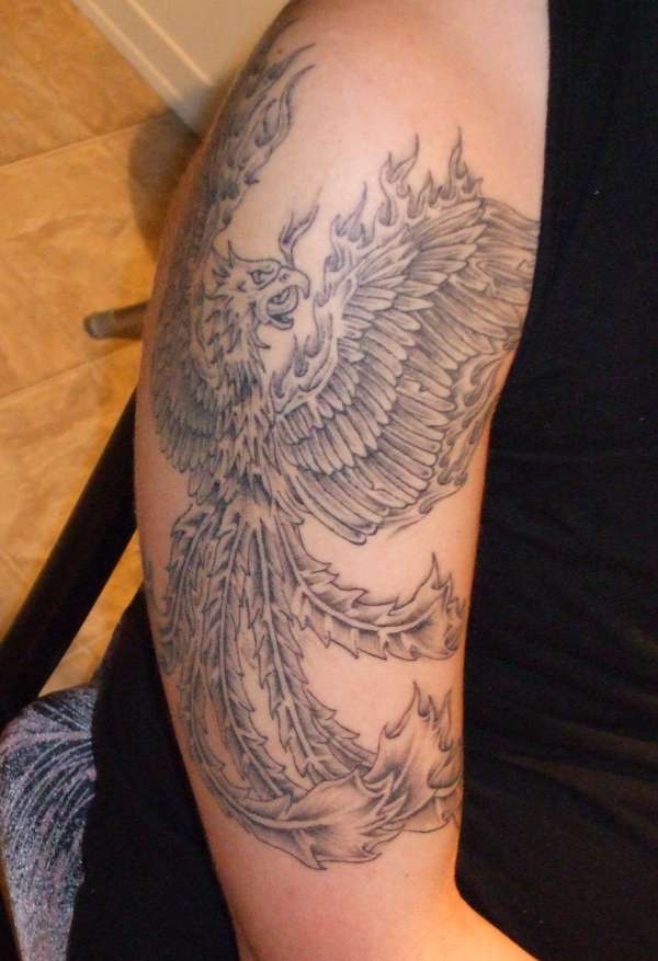 Pheonix Series of three pics tattoo