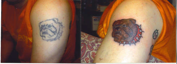 Bulldog Re-do tattoo