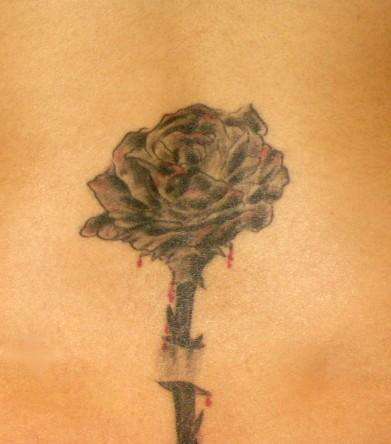 Rose tattoo tattoo