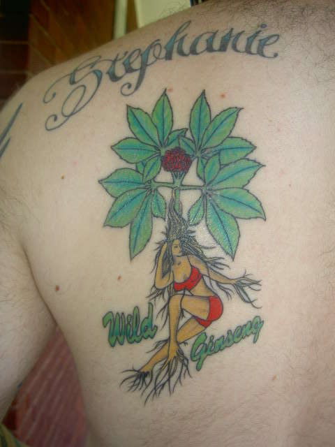 Wild Ginseng tattoo