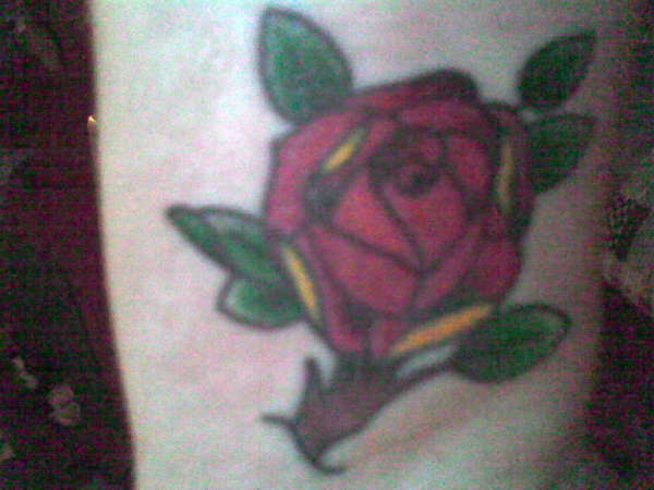 rose tattoo