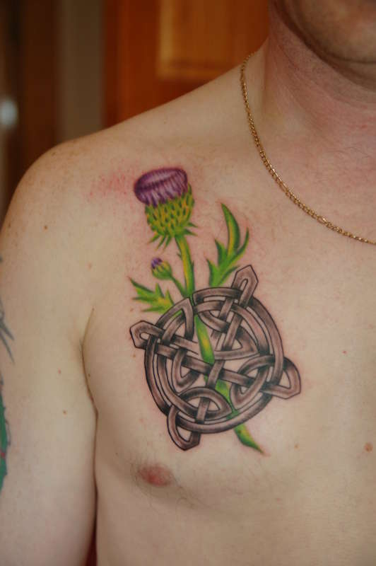 Celtic and thistle tattoo
