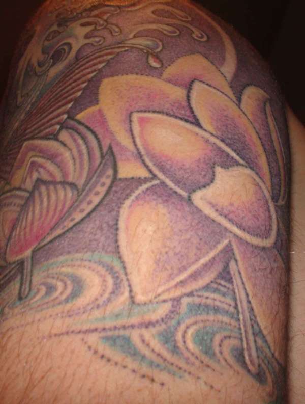Koi with lotus flowers tattoo