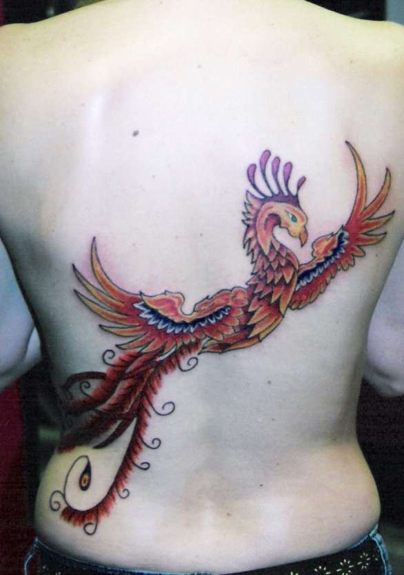 phoenix tattoo