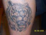 Tiger tattoo