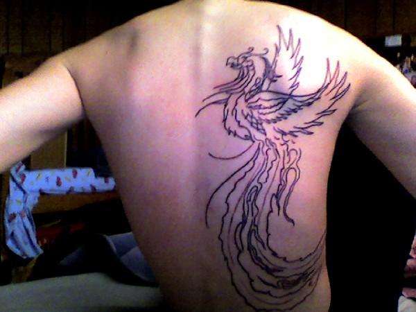 Phoenix Outline tattoo