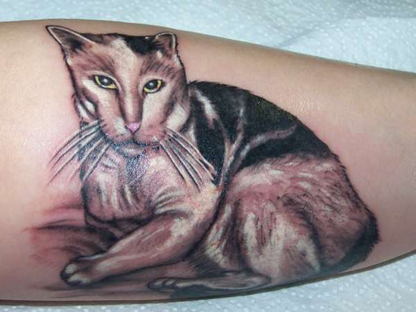 In Memory of My Cat Cheeseburger tattoo