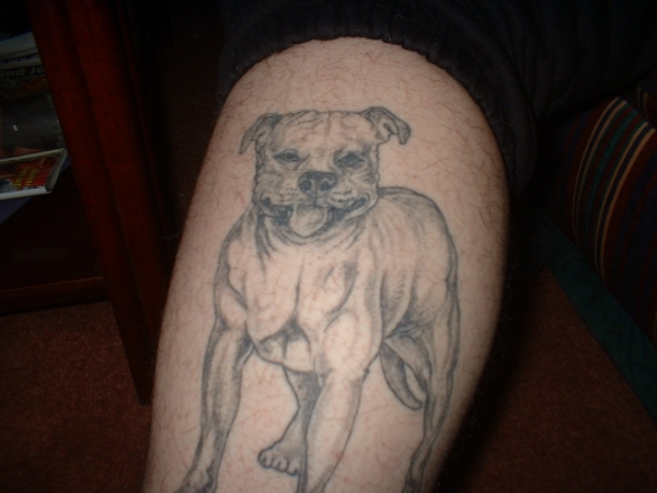a dogs life tattoo