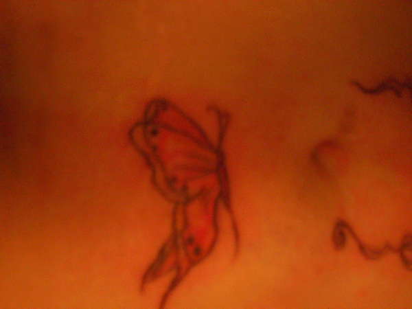 butterfly tattoo