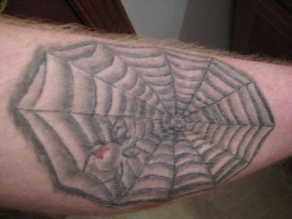 spider tattoo